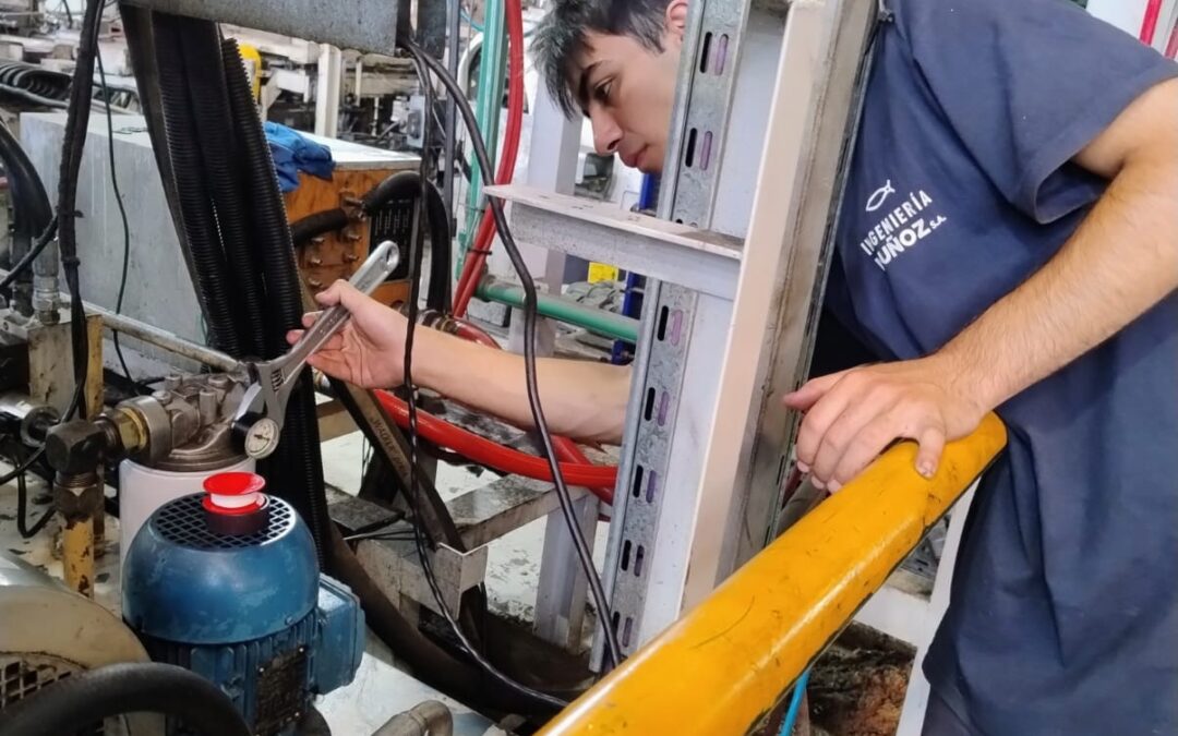 Mantenimiento predictivo y preventivo en hidráulica